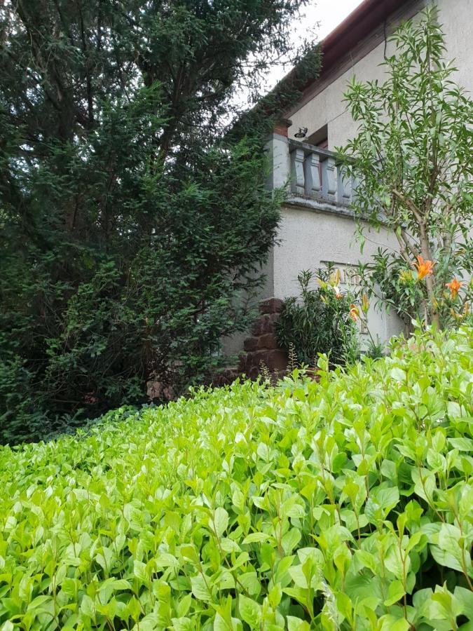 Kasza Villa Balatonfured Bagian luar foto