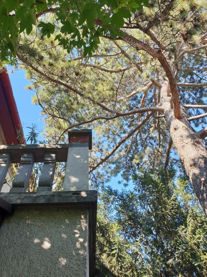 Kasza Villa Balatonfured Bagian luar foto