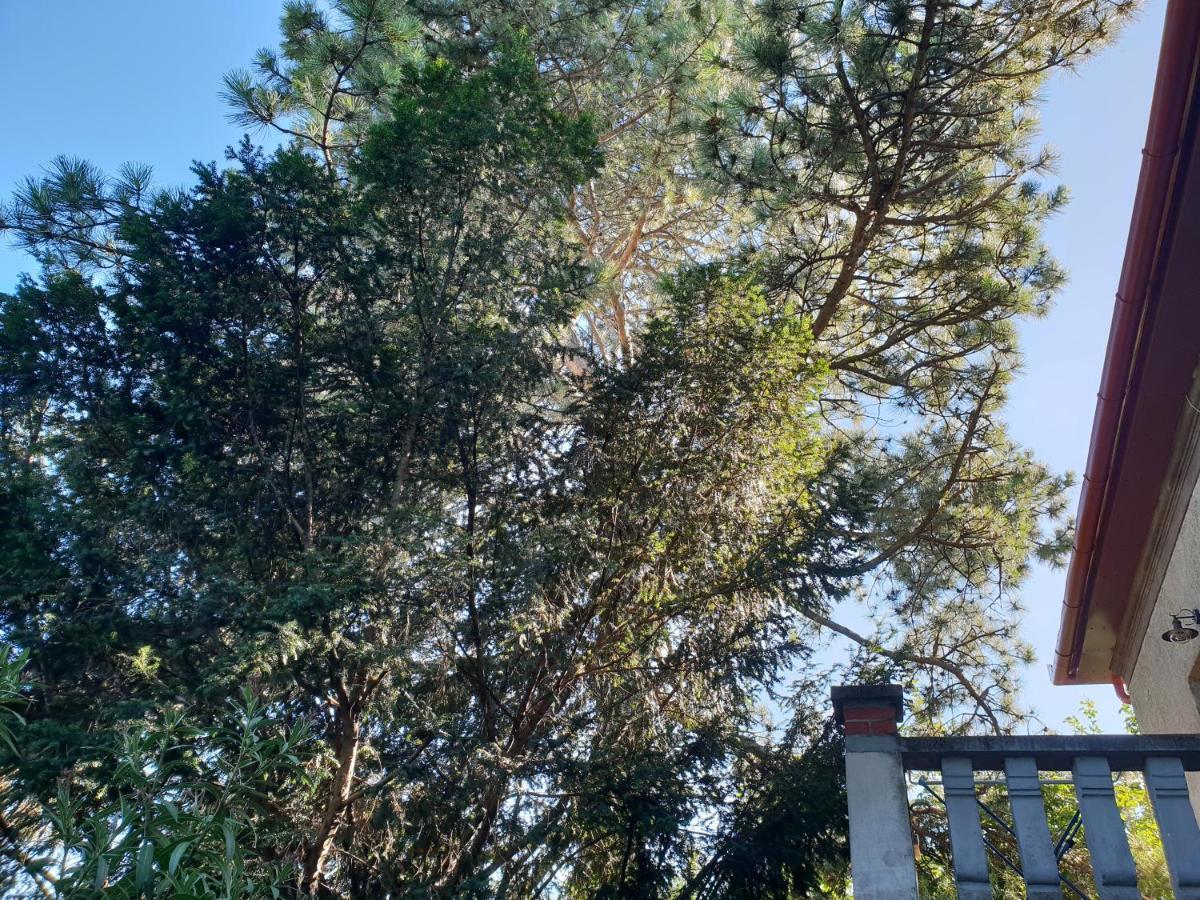 Kasza Villa Balatonfured Bagian luar foto