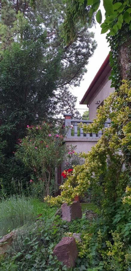Kasza Villa Balatonfured Bagian luar foto
