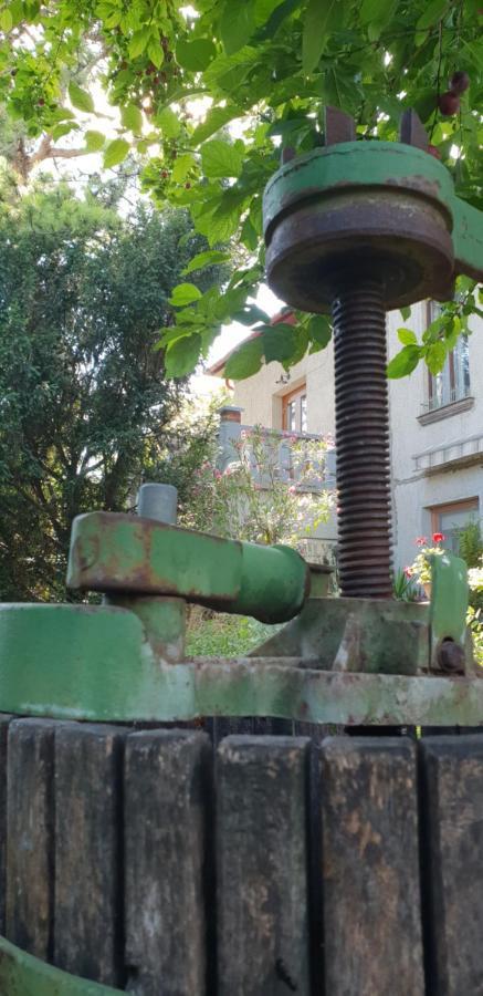 Kasza Villa Balatonfured Bagian luar foto